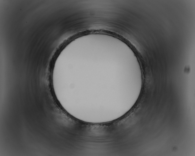 X0000101960832200807181038