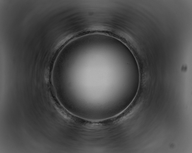 X0000101960833200807181038