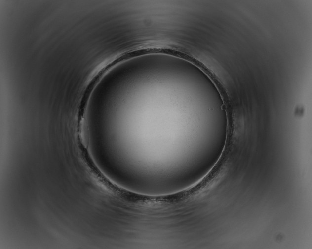 X0000101960834200807181039