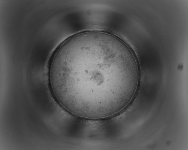 X0000101960835200807181039