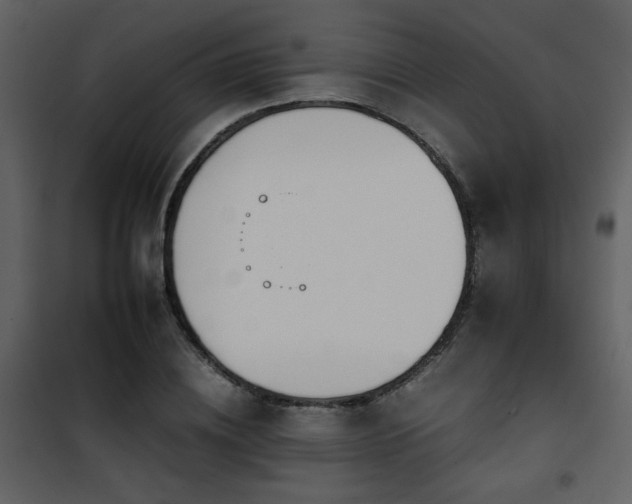 X0000101960836200807181039