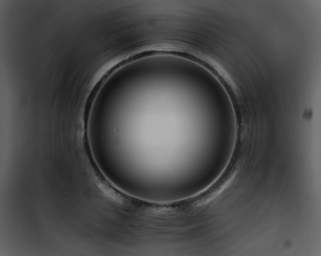 X0000101960837200807181039