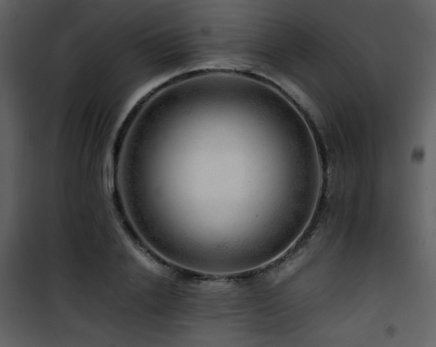 X0000101960838200807181039