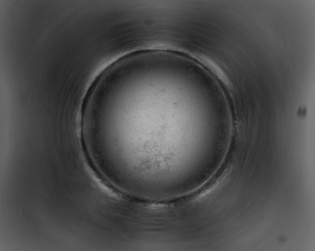 X0000101960839200807181039