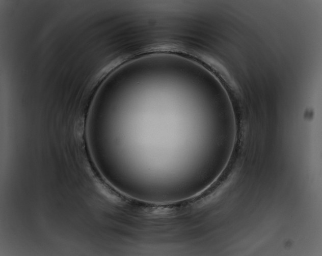 X0000101960841200807181039