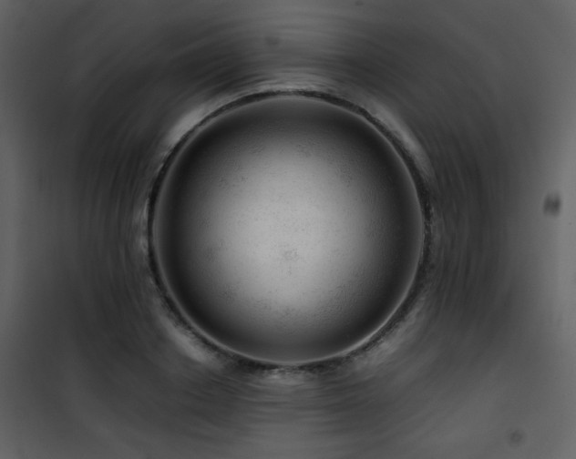 X0000101960842200807181039