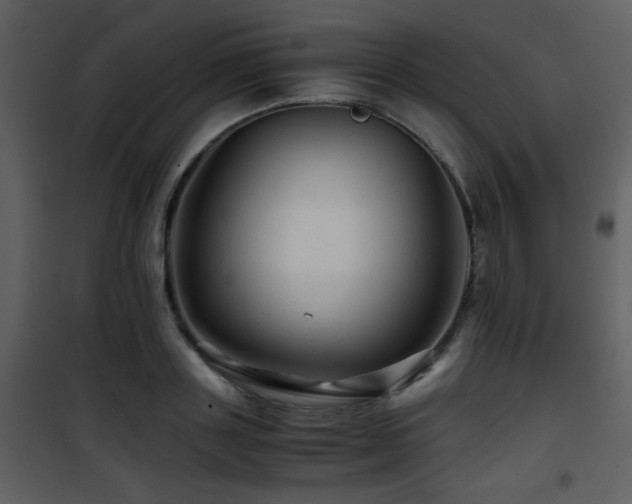 X0000101960843200807181039