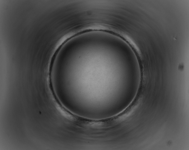 X0000101960845200807181039