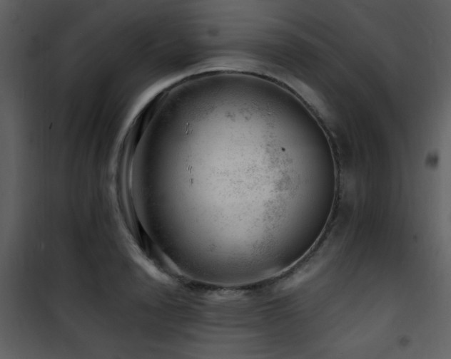X0000101960846200807181039