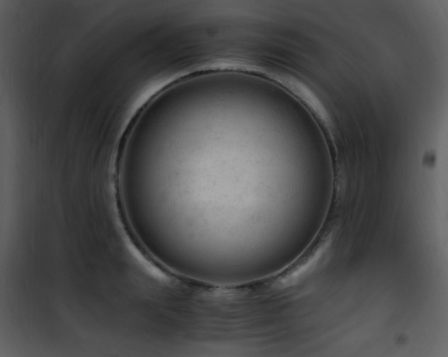 X0000101960847200807181039