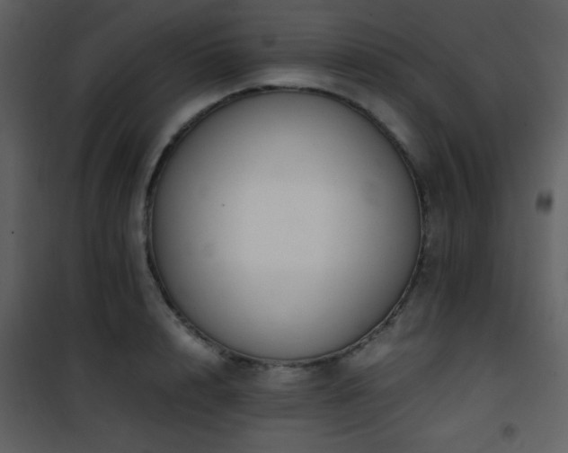 X0000101960848200807181039