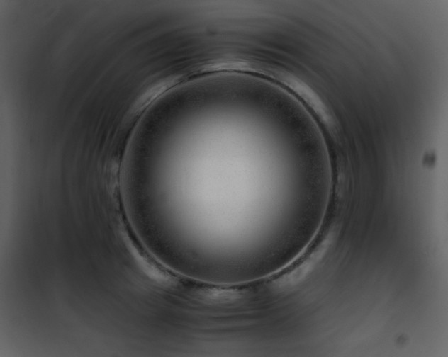 X0000101960849200807181039