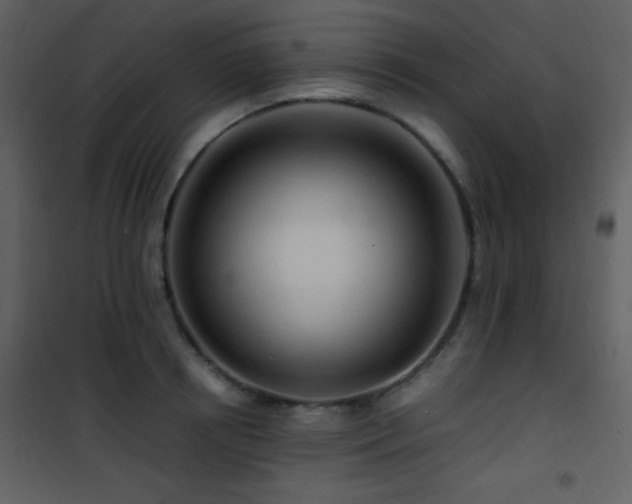 X0000101960850200807181039