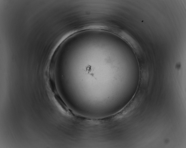 X0000101960852200807181039
