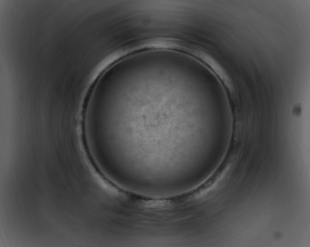X0000101960853200807181039