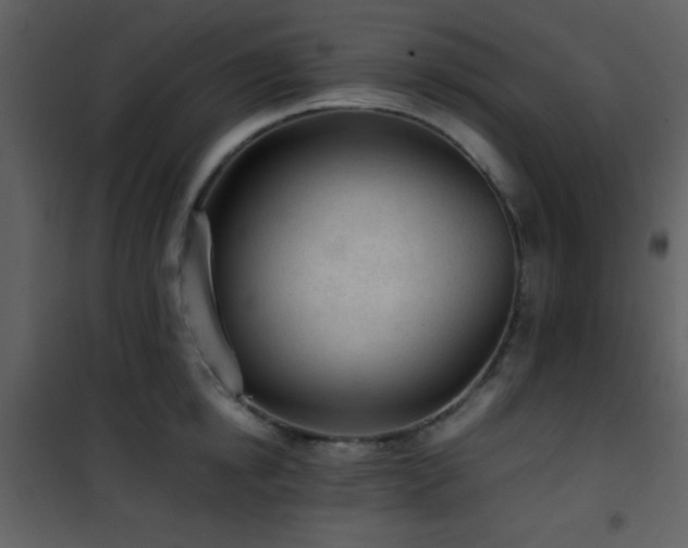 X0000101960854200807181039