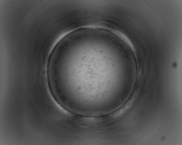 X0000101960855200807181039