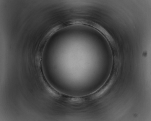 X0000101960857200807181039