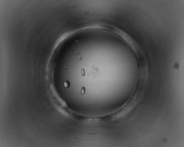 X0000101960858200807181039