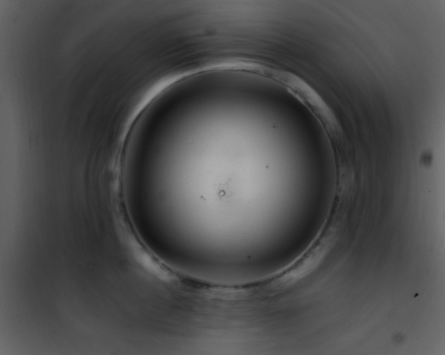 X0000101960860200807181039