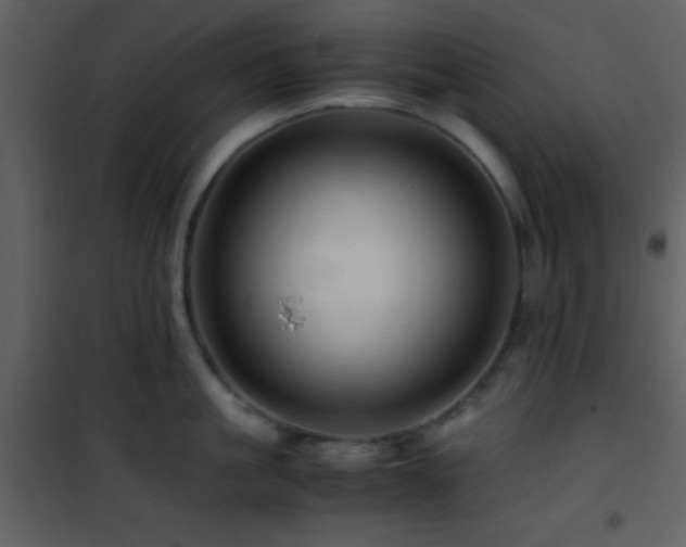 X0000101960861200807181039