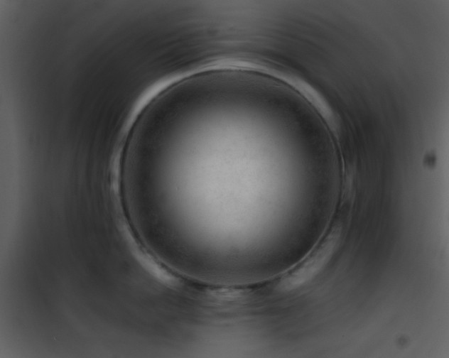 X0000101960862200807181039