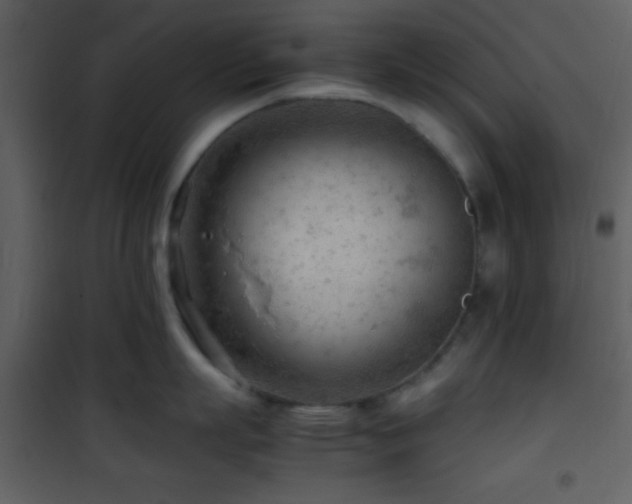 X0000101960863200807181039
