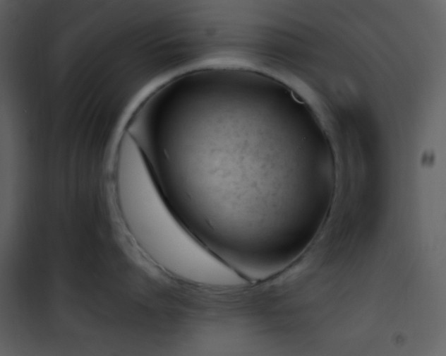 X0000101960864200807181039