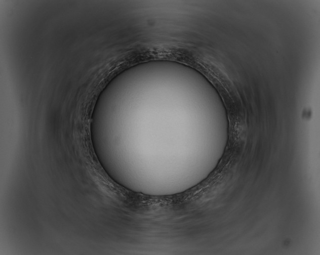 X0000101960865200807181038