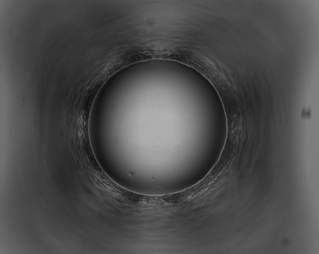 X0000101960866200807181038