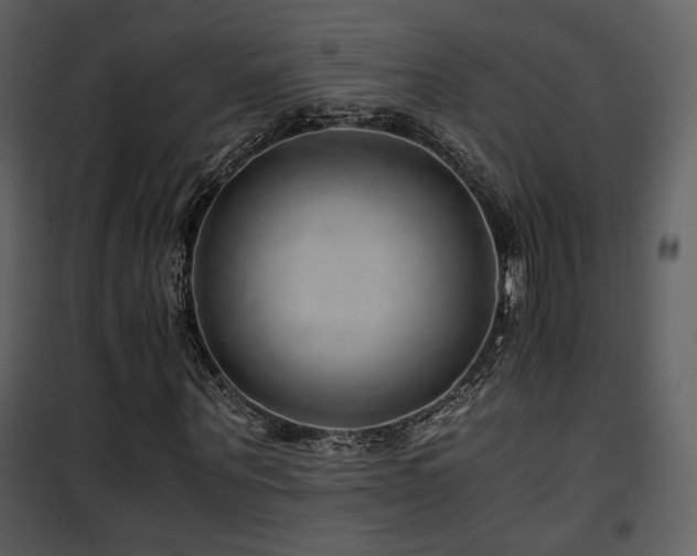 X0000101960867200807181038
