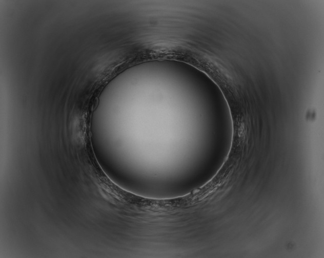 X0000101960868200807181038