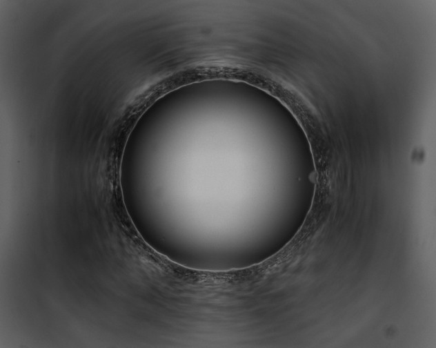 X0000101960870200807181038