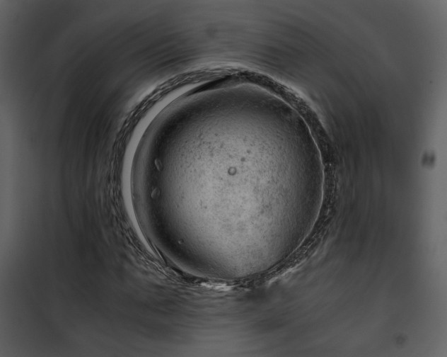 X0000101960871200807181038