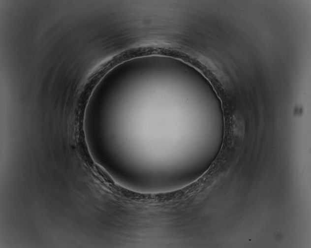 X0000101960872200807181038