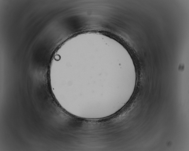 X0000101960873200807181038