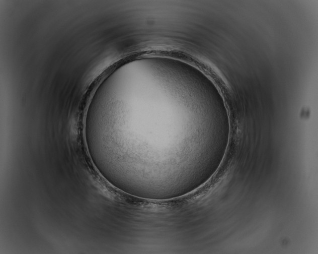 X0000101960874200807181038