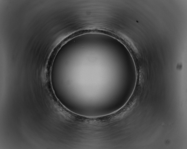 X0000101960876200807181038