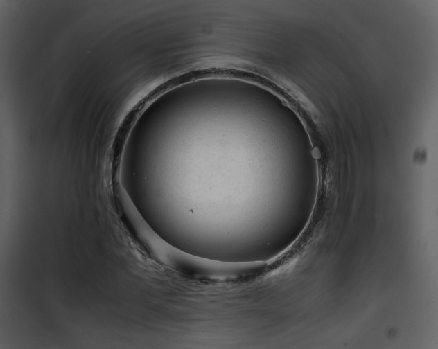 X0000101960877200807181038
