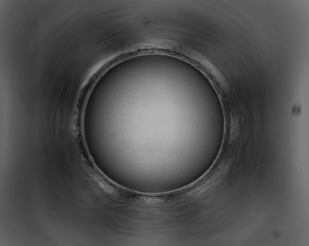 X0000101960878200807181038