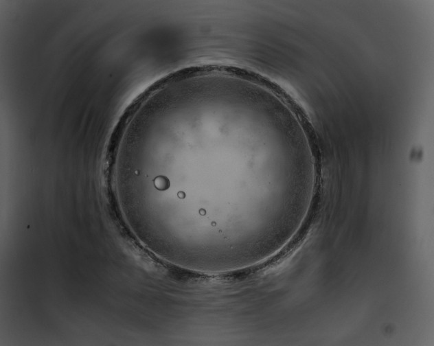 X0000101960879200807181038