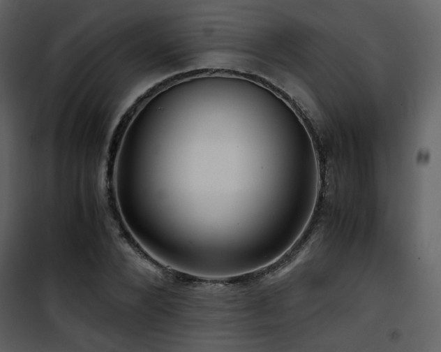 X0000101960880200807181038