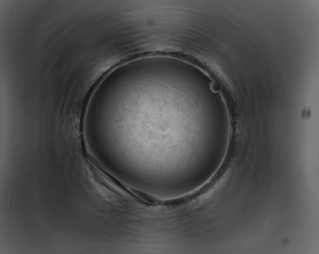 X0000101960881200807181038