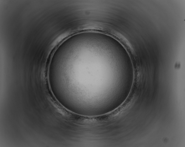 X0000101960882200807181038