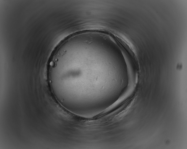X0000101960883200807181038