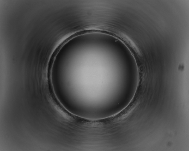 X0000101960884200807181038