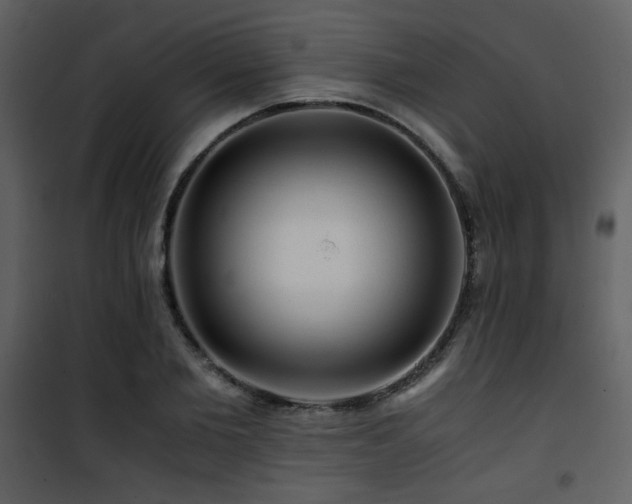 X0000101960885200807181038