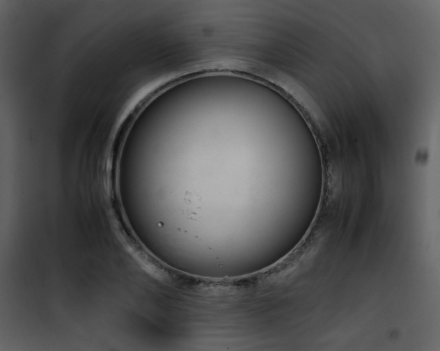 X0000101960886200807181038