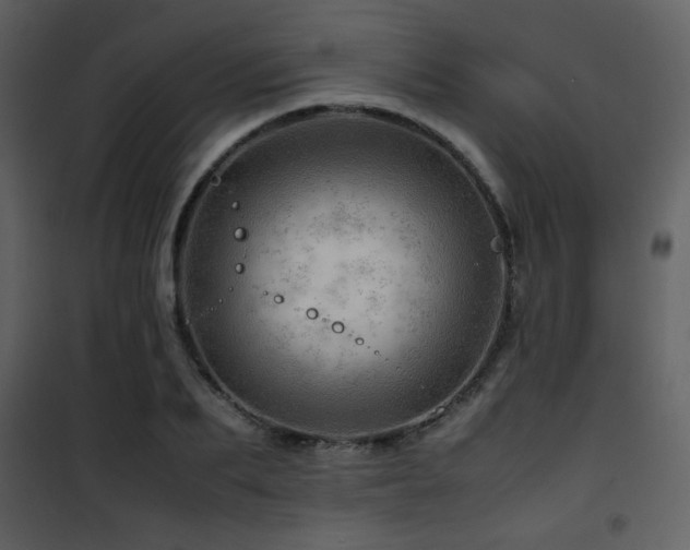 X0000101960887200807181038