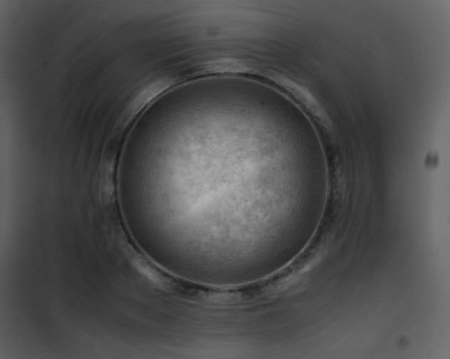 X0000101960889200807181038